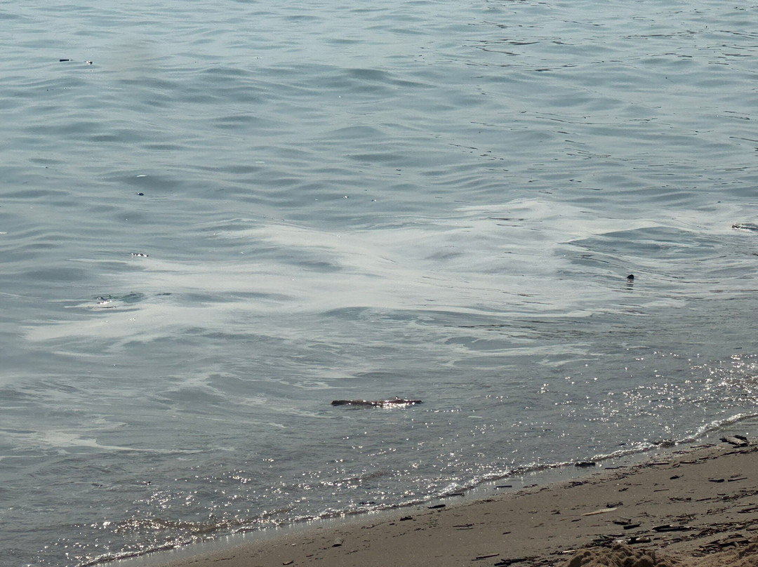 Playa Del Dossel-库列拉必去景点