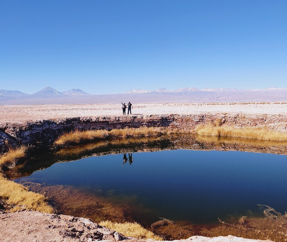 Laguna Cejar-圣佩德罗-德阿塔卡马必去景点