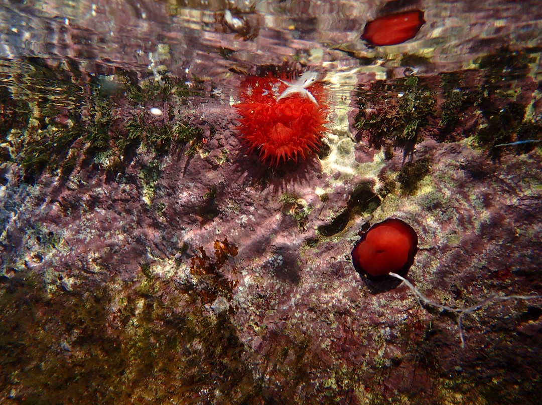 Charters Casamar-卡斯特利翁-德拉普拉纳必去景点