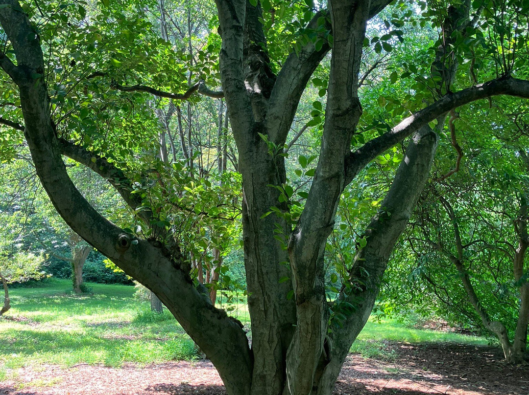 Holmdel Park-Holmdel必去景点