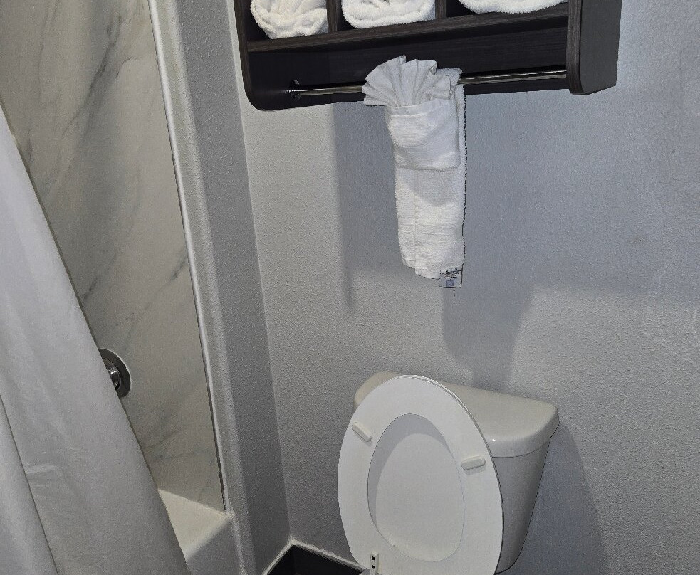 Super 8 by Wyndham Sealy主图