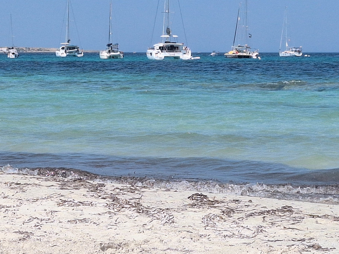 Es Cavall d'En Borràs Beach