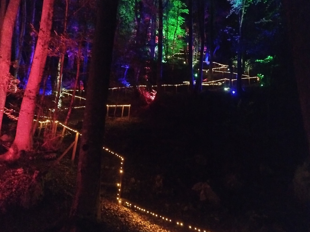 Lumina Milia-Ampezzo必去景点