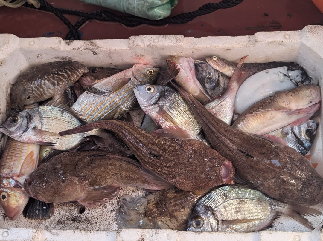 Pescaturismo La Barca dei Matti-Campo nell'Elba必去景点
