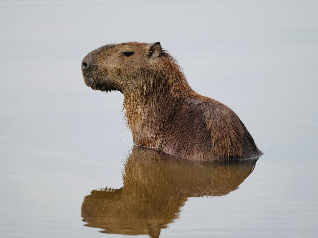 El Encanto de Guanapalo Reserva Natural-San Luis de Palenque必去景点