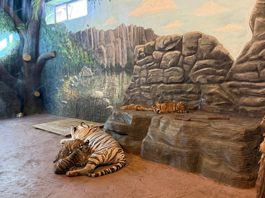 Limpopo Zoo-下诺夫哥罗德必去景点