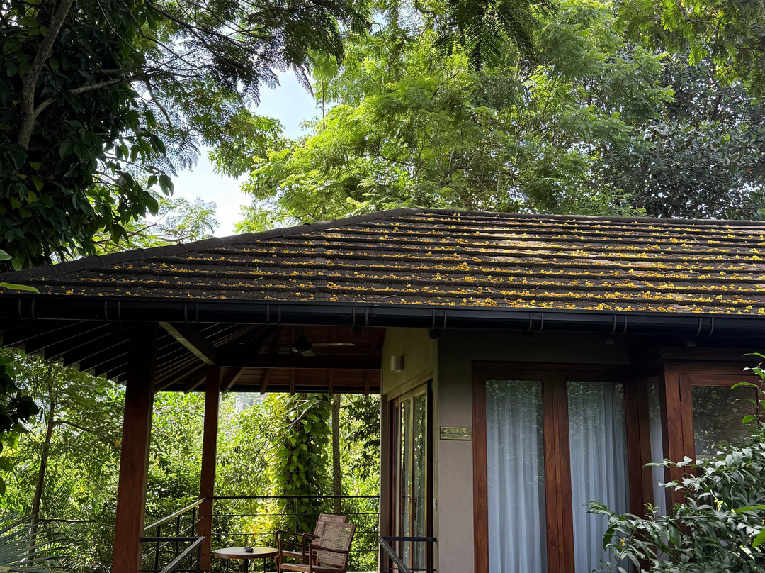 Kings Pavilion主图