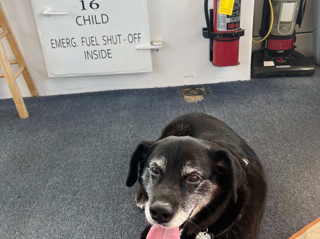 Smith Island Cruises-Crisfield必去景点