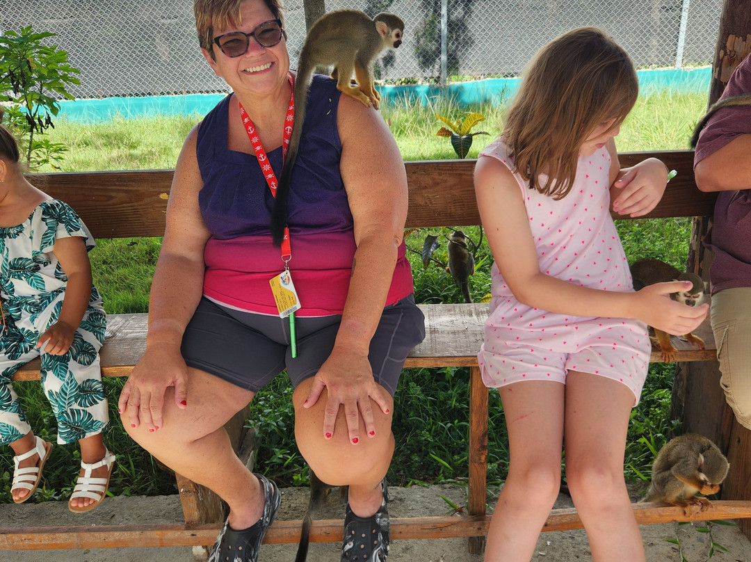 Dominican Atlantic Transfers & Tours-普拉塔港必去景点