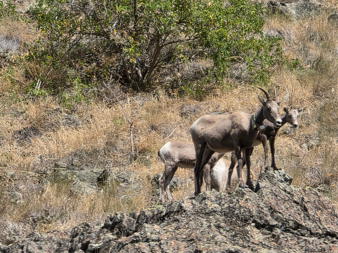 Hammer Down River Excursions-White Bird必去景点