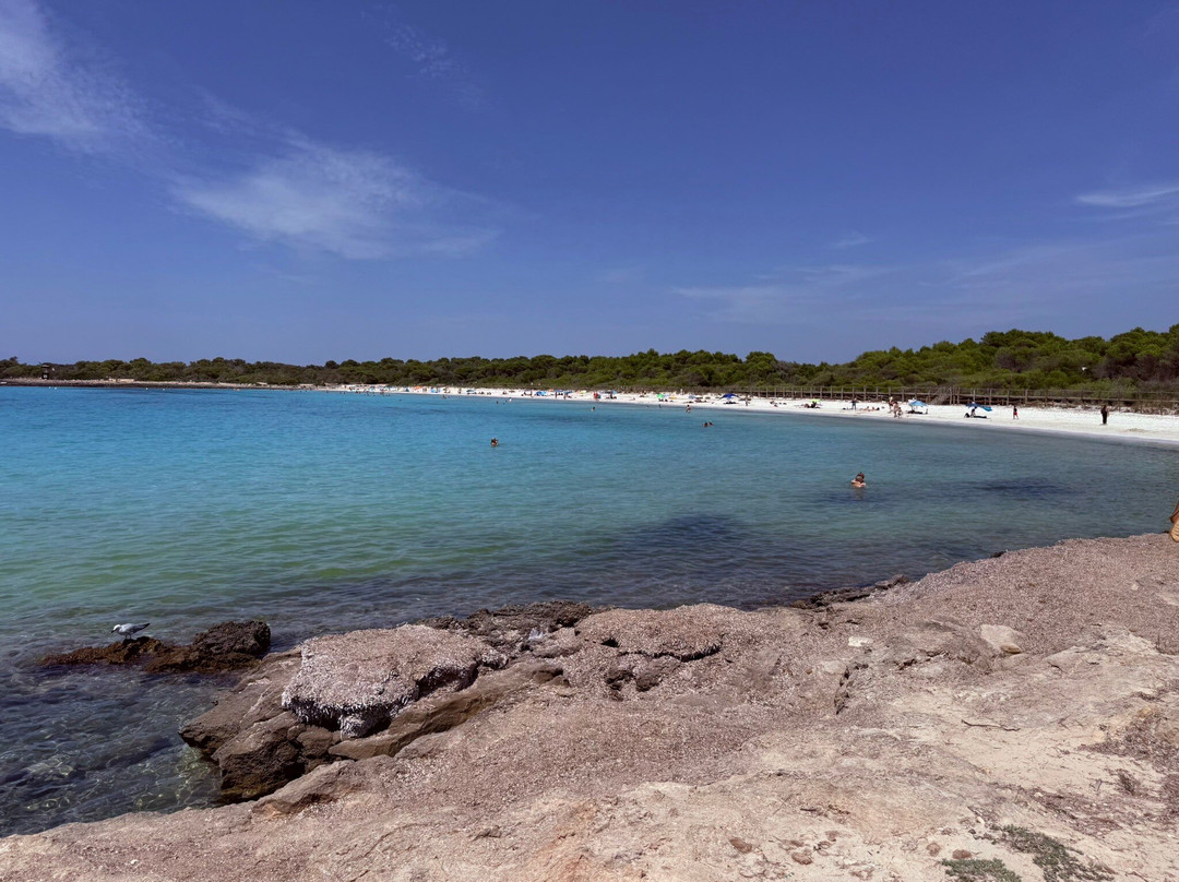 Platges de Son Saura-休达德亚必去景点