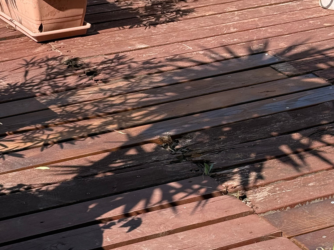 Irante-苏佩塔尔必去景点