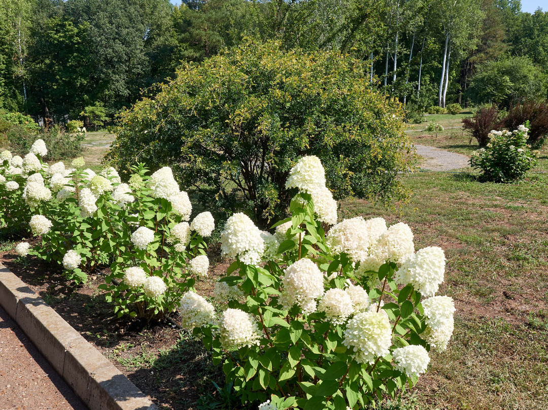 Ufa Botanical Garden-乌法必去景点
