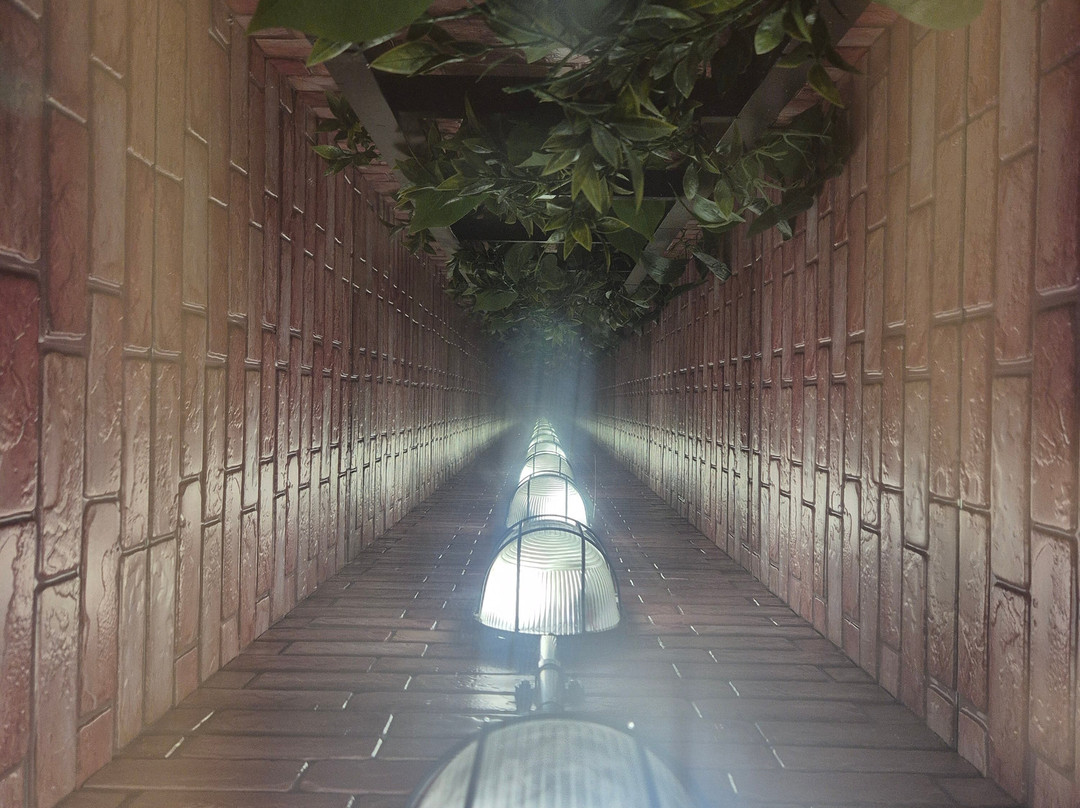 Illusion Nice-尼斯必去景点
