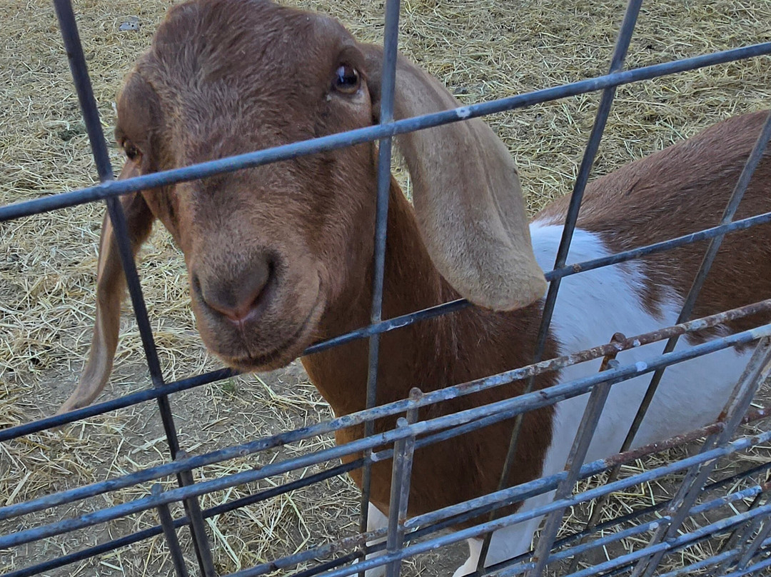 Pennyroyal Farm-Boonville必去景点