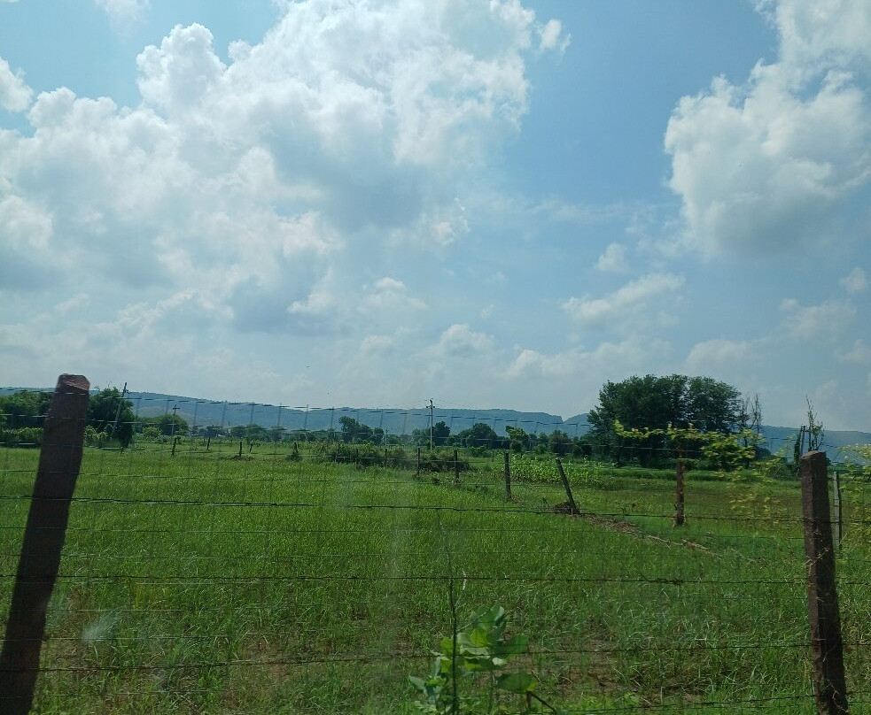 The Sawai Bagh主图