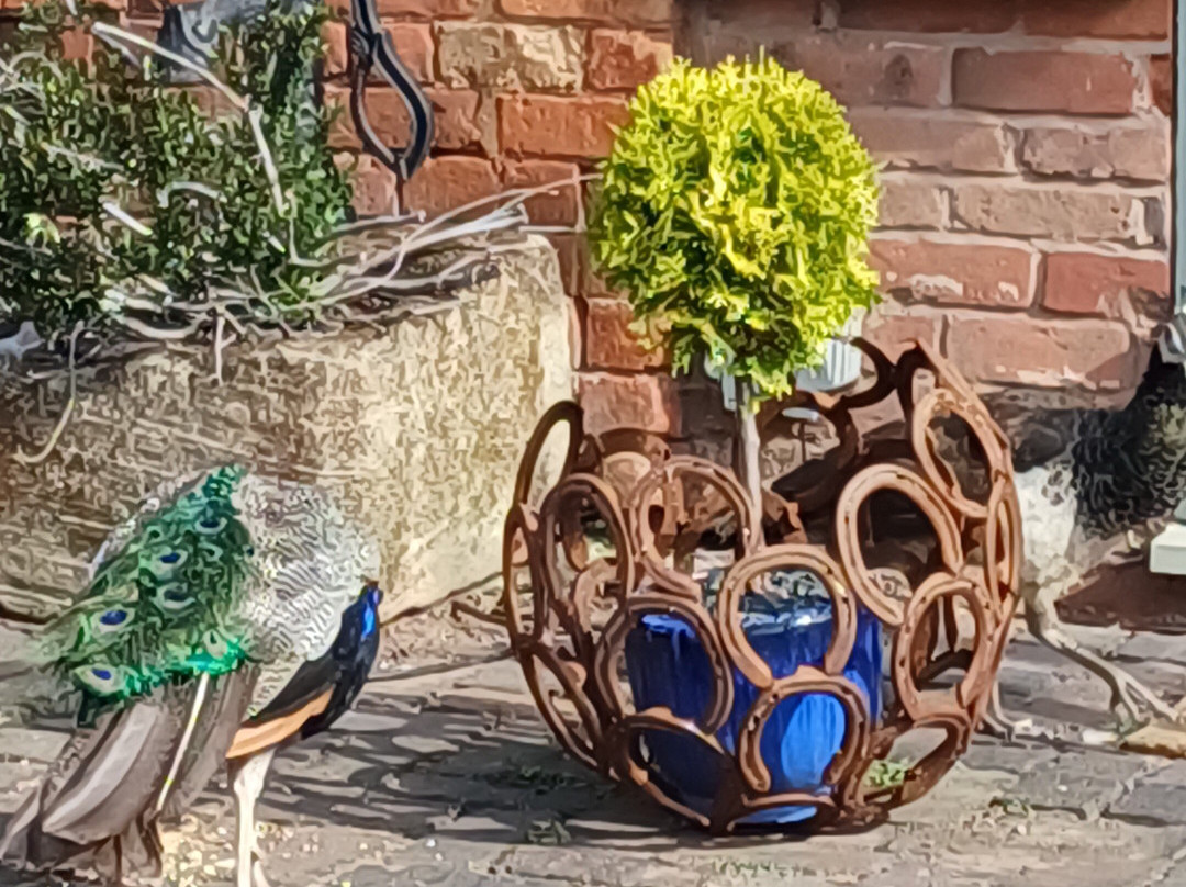 Amerton Farm-斯塔福德必去景点