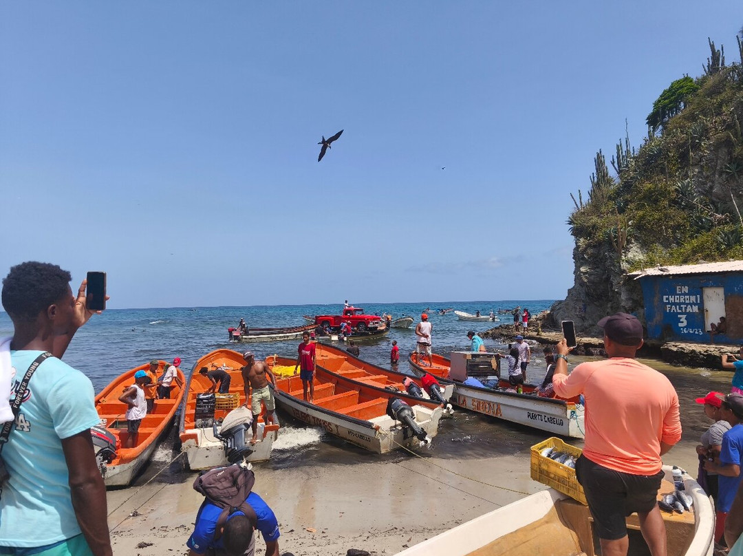 Playa Uricao-Choroni必去景点