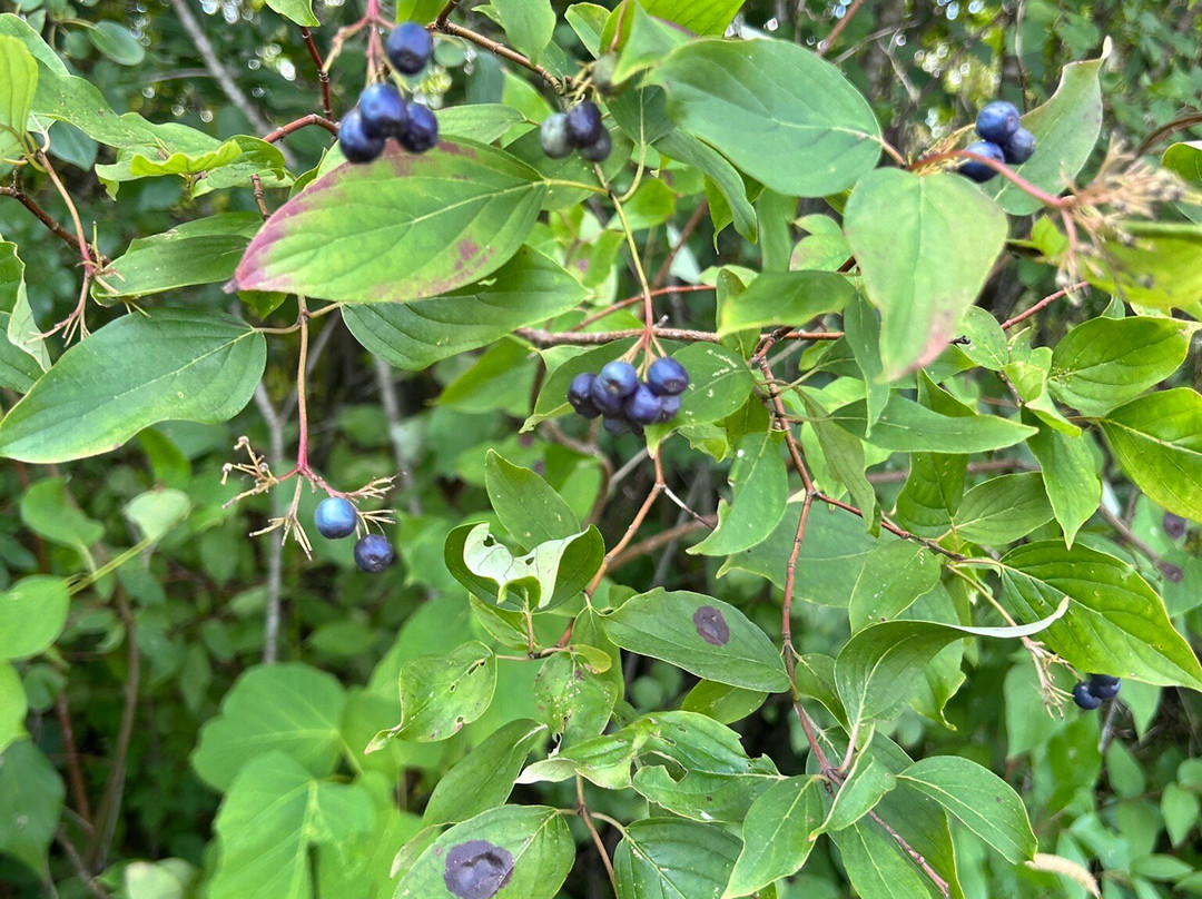 William O'Brien State Park-Marine on Saint Croix必去景点