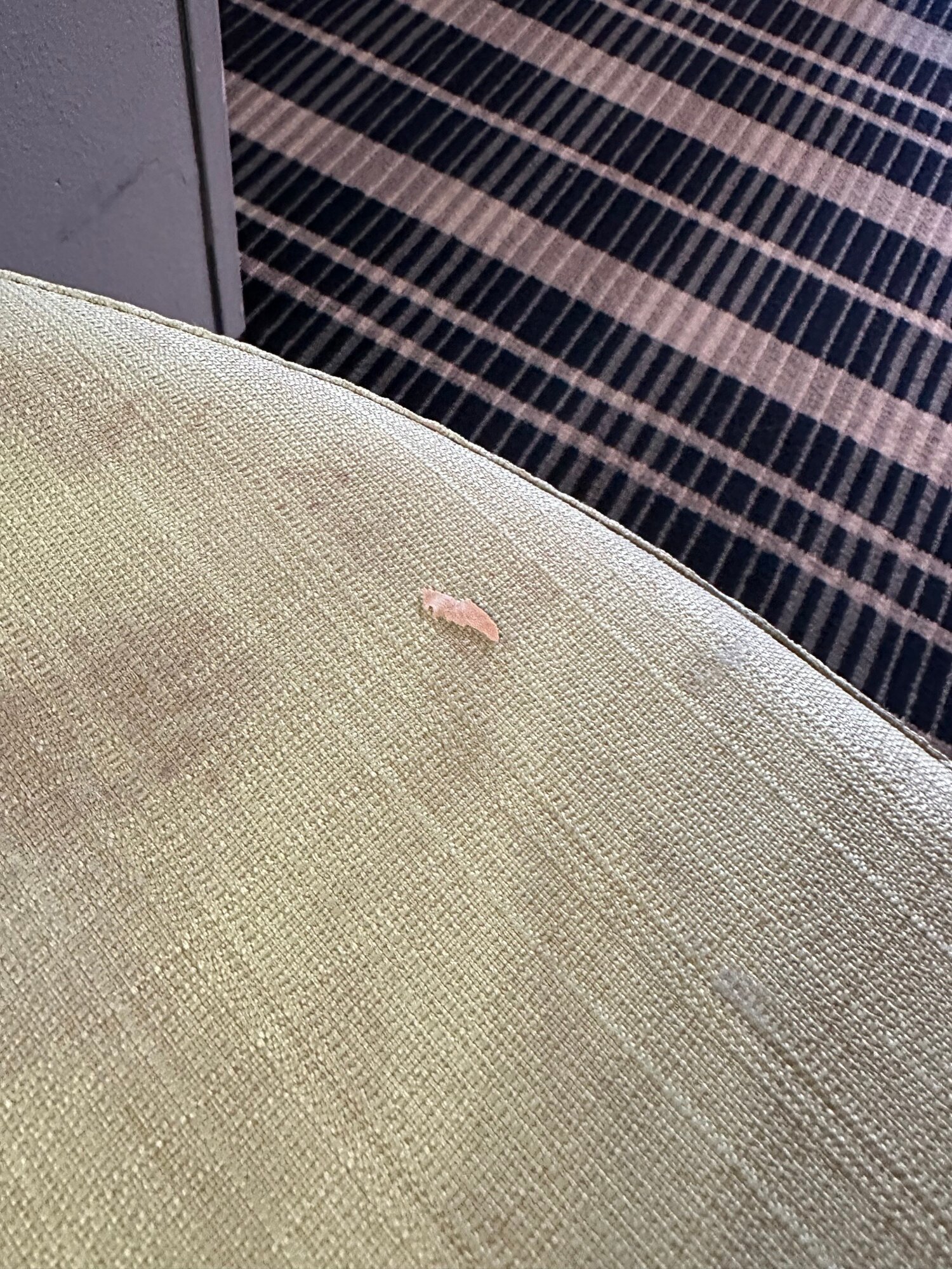 AmericInn by Wyndham Chanhassen-客卧