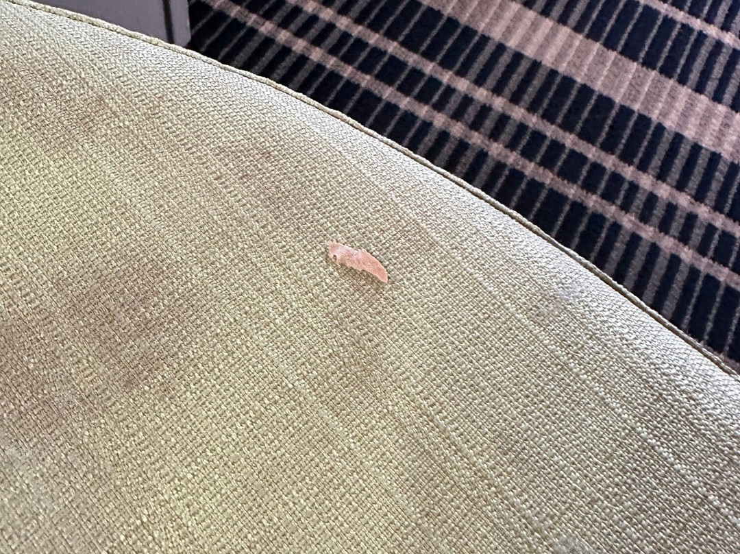 AmericInn by Wyndham Chanhassen主图