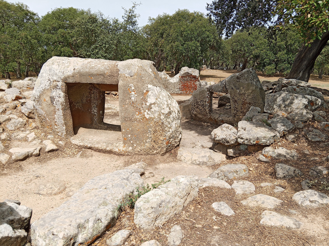 Necropolis of Pranu Muttedu-Goni必去景点