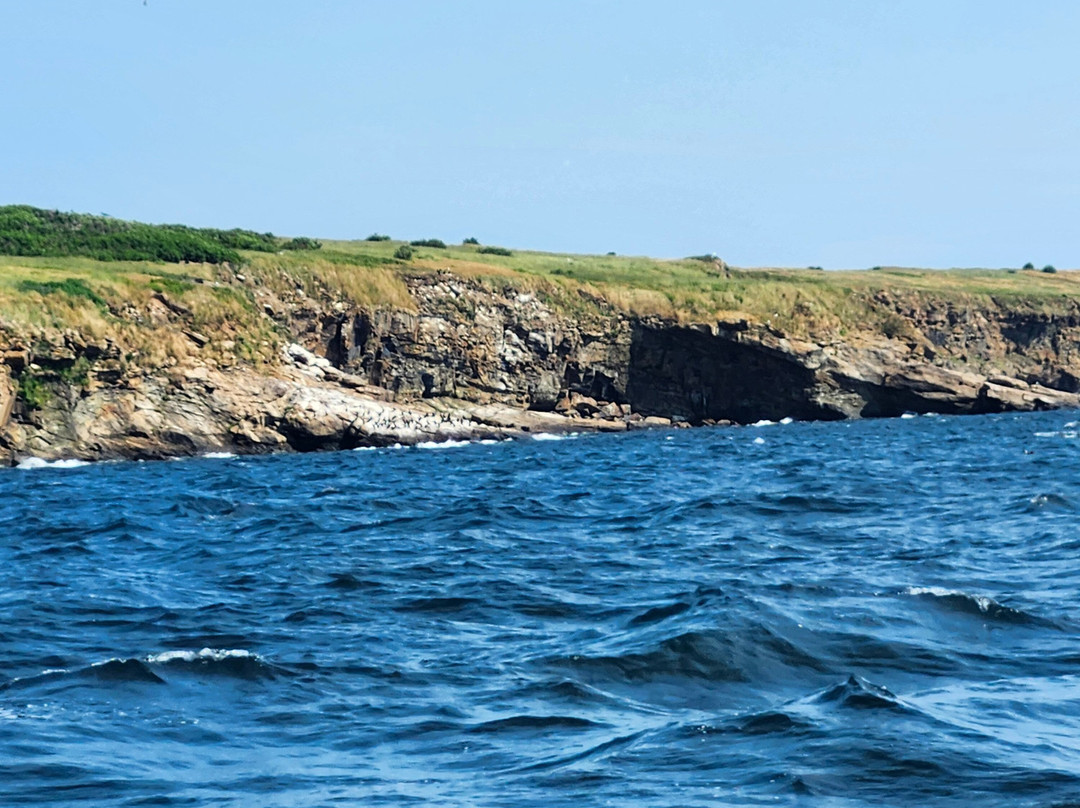 Bird Island Boat Tour-Big Bras d'Or必去景点