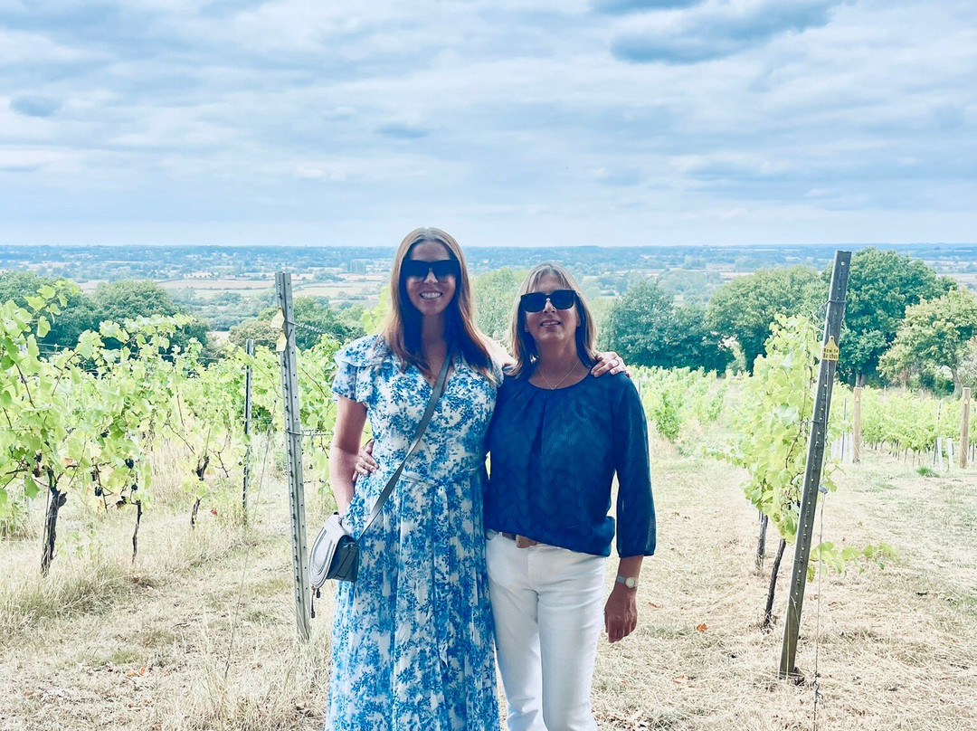 Maud Heath Vineyard-Calne必去景点