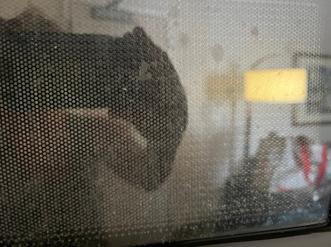 SpringHill Suites by Marriott Scranton Montage Mountain主图