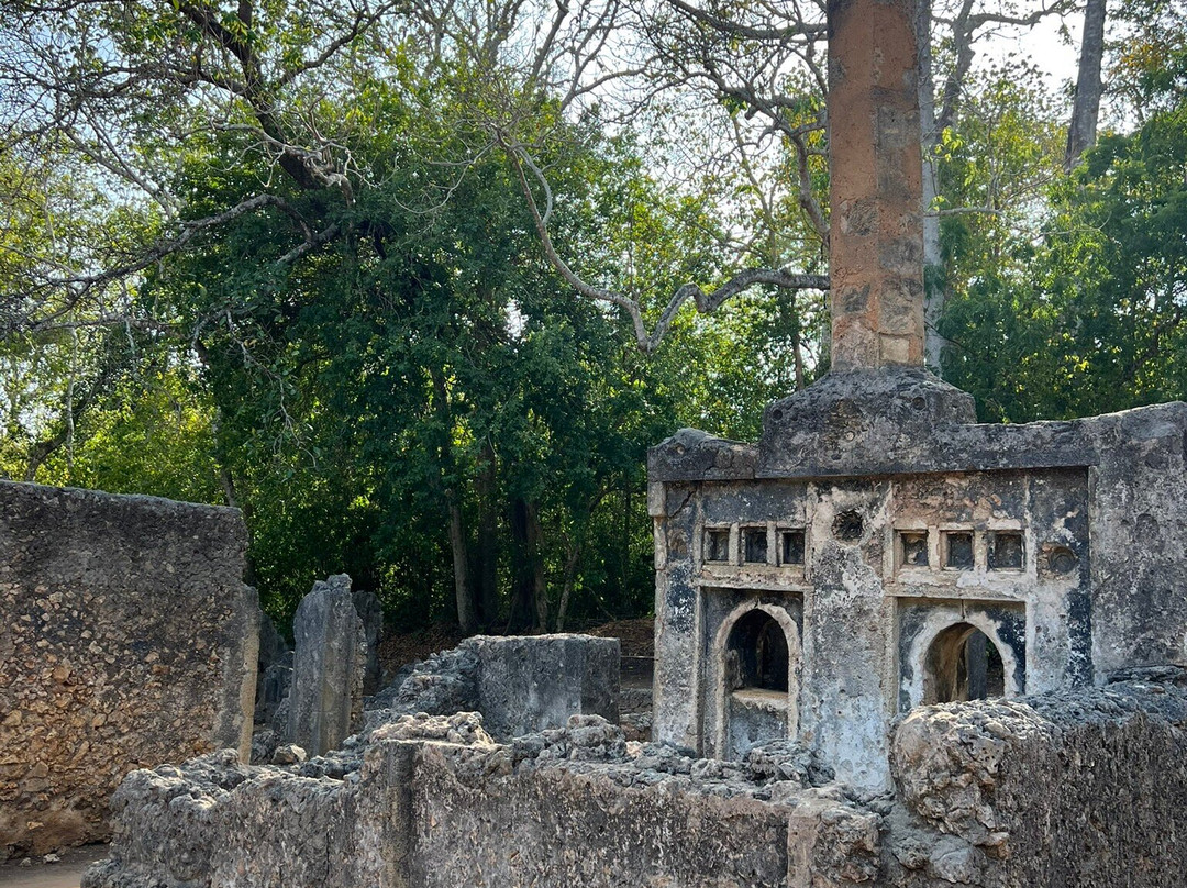 Totti Kenya-安博塞利国家公园必去景点