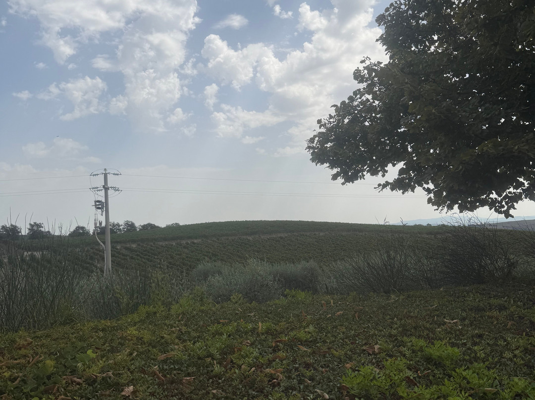 Fattoria Di  Magliano主图