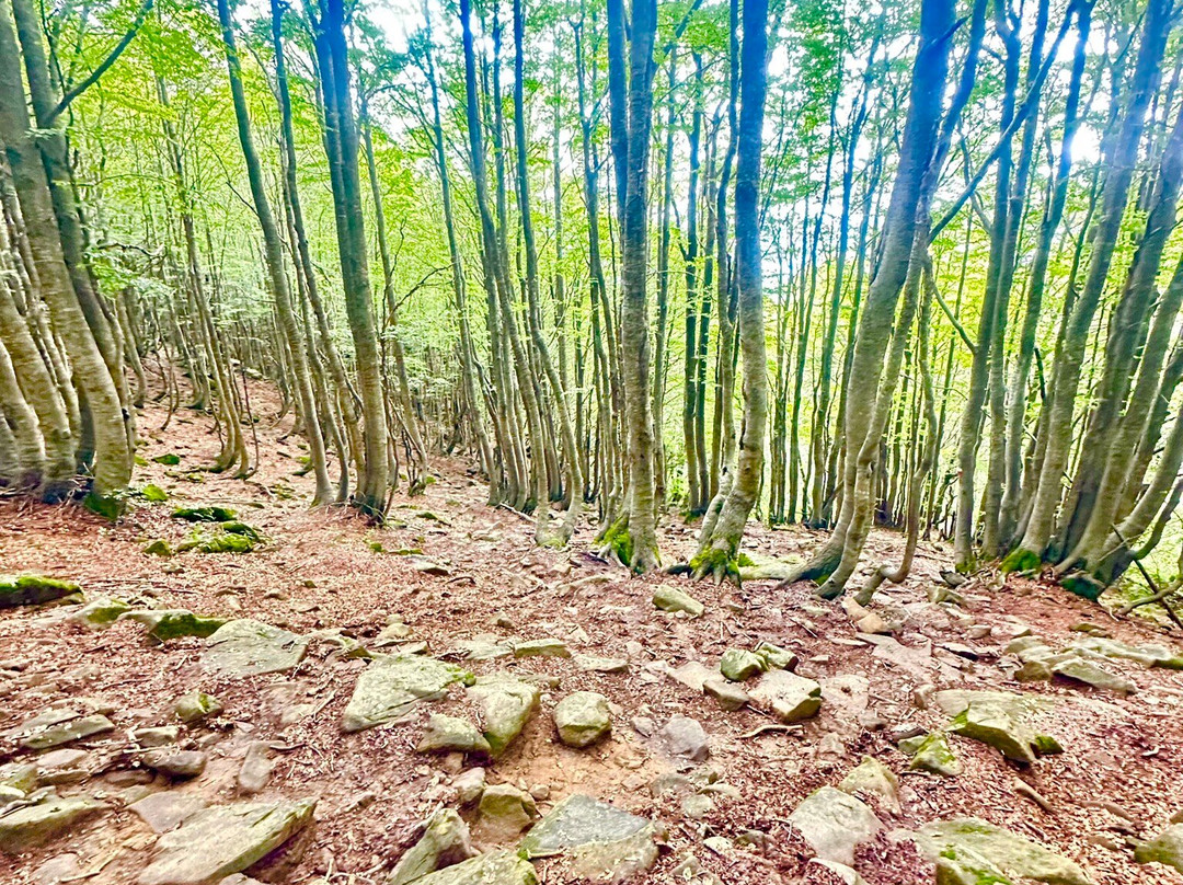 Lago Nero-Abetone必去景点