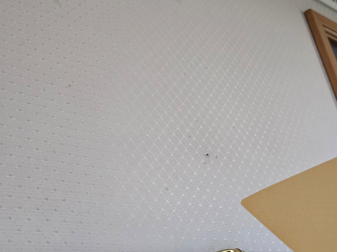 皇家花园酒店主图