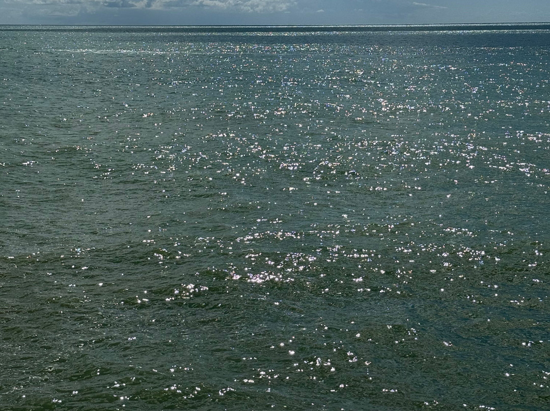 La Casa e il Mare主图