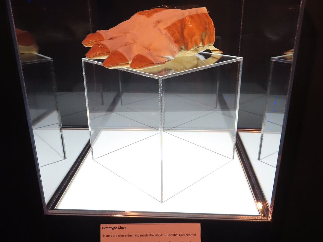 South Carolina Military Museum-哥伦比亚必去景点