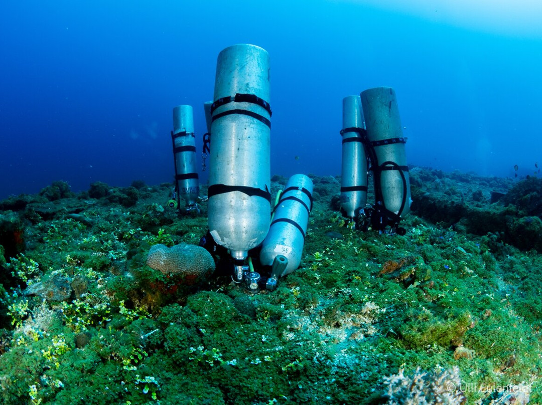 Pacific Master - Master Liveaboards-Chuuk必去景点