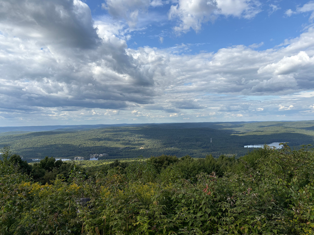 Grand Boisé De Pointe-du-lac