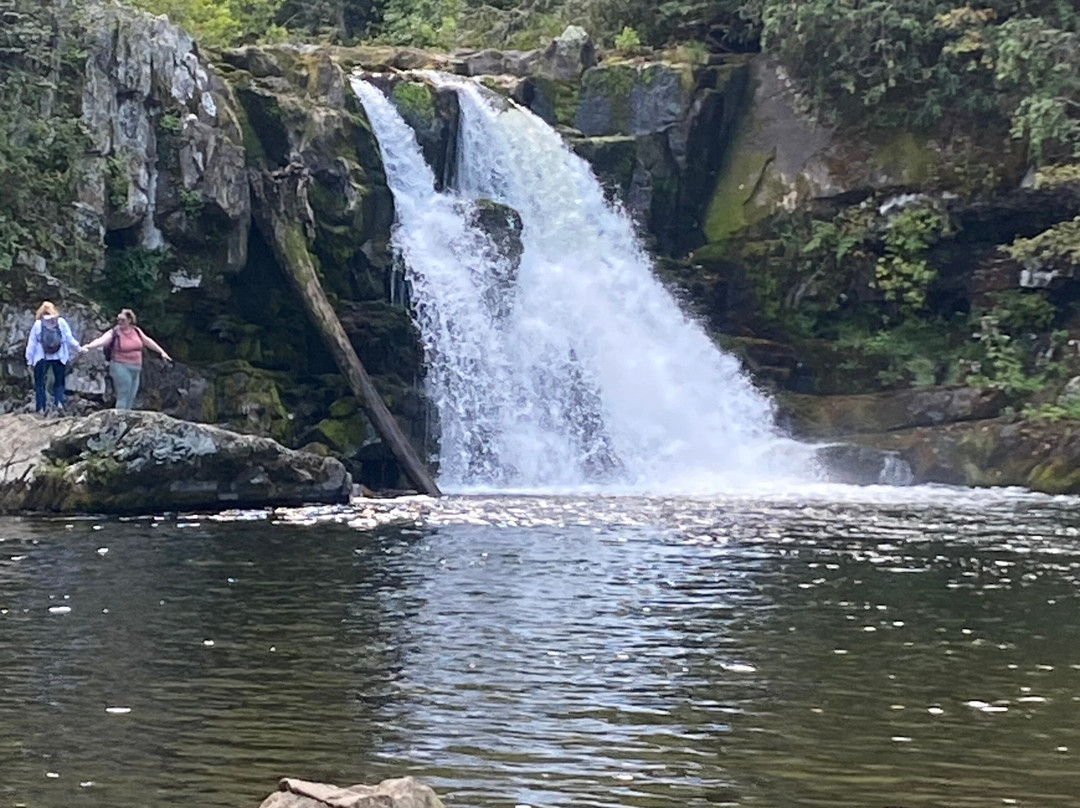 Abrams Falls Trail-大雾山国家公园必去景点