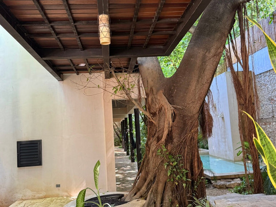 Treehouse Boutique Hotel主图