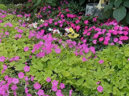 莫法特酒店主图