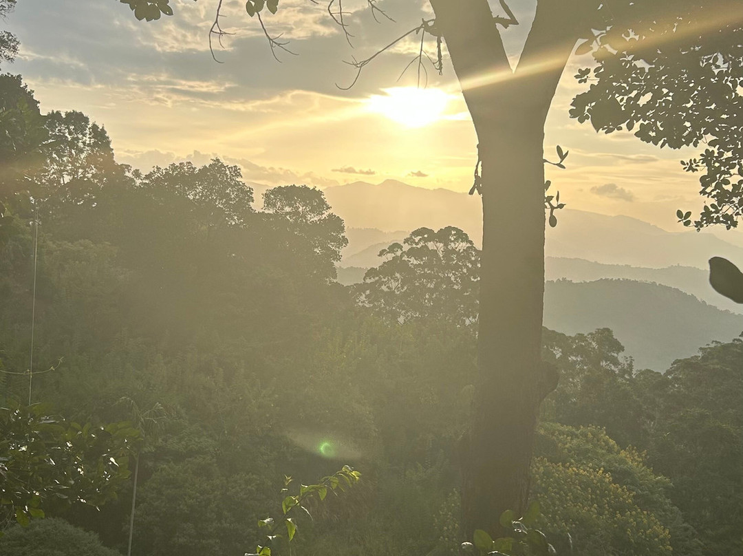 Narangala Mountainous Tourism With Robinson's Path-Badulla必去景点