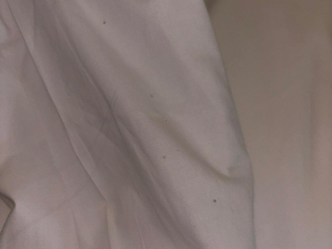 Travelodge London Stratford主图