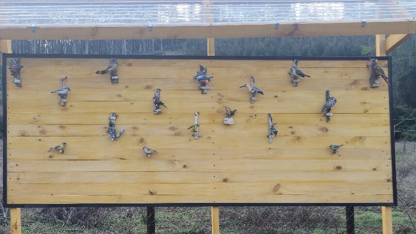 Turismo Pitrufquén-Pitrufquen必去景点