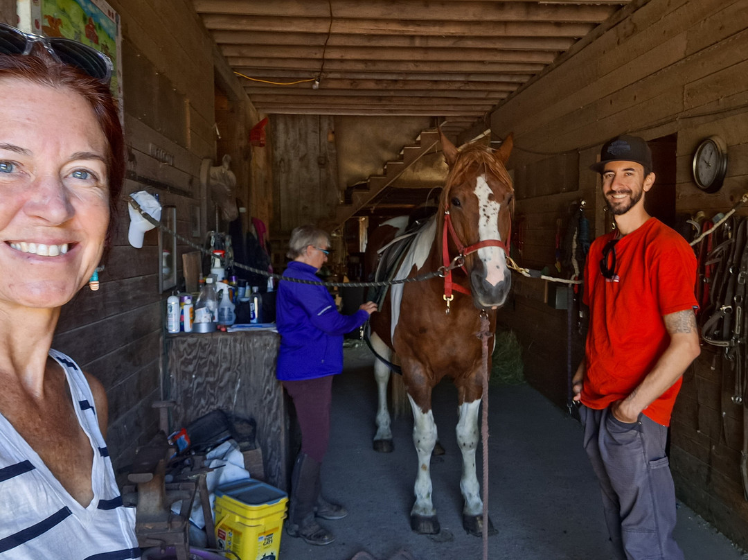 Deepwood Farm-贝塞尔必去景点