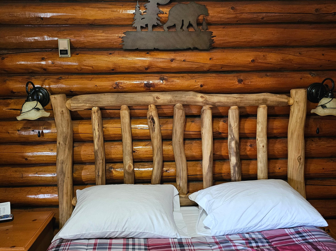 Z酒吧汽车旅馆主图