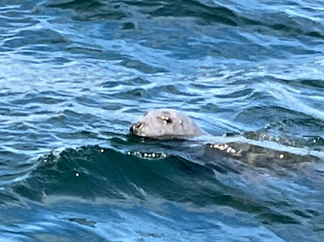Schooner Eastwind-布斯贝港必去景点