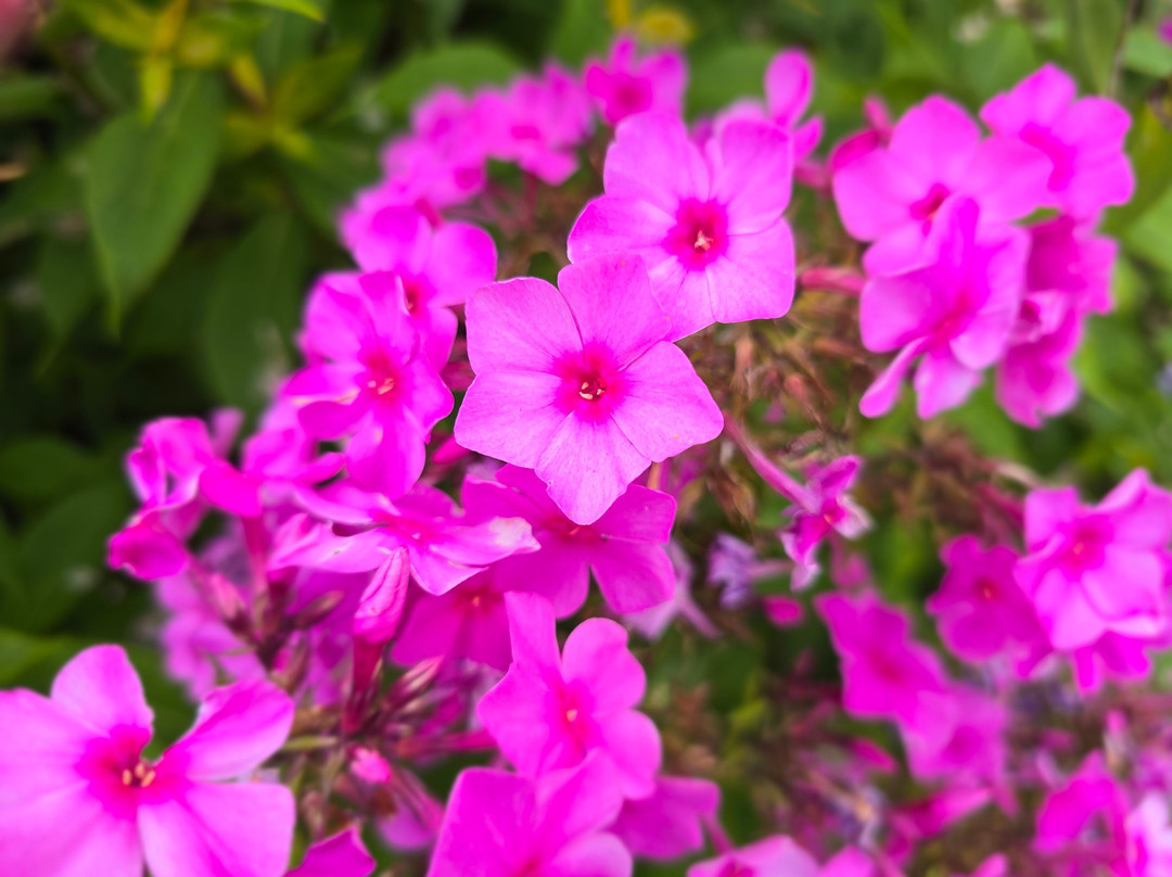 Zone portuaire Saguenay-Chicoutimi必去景点