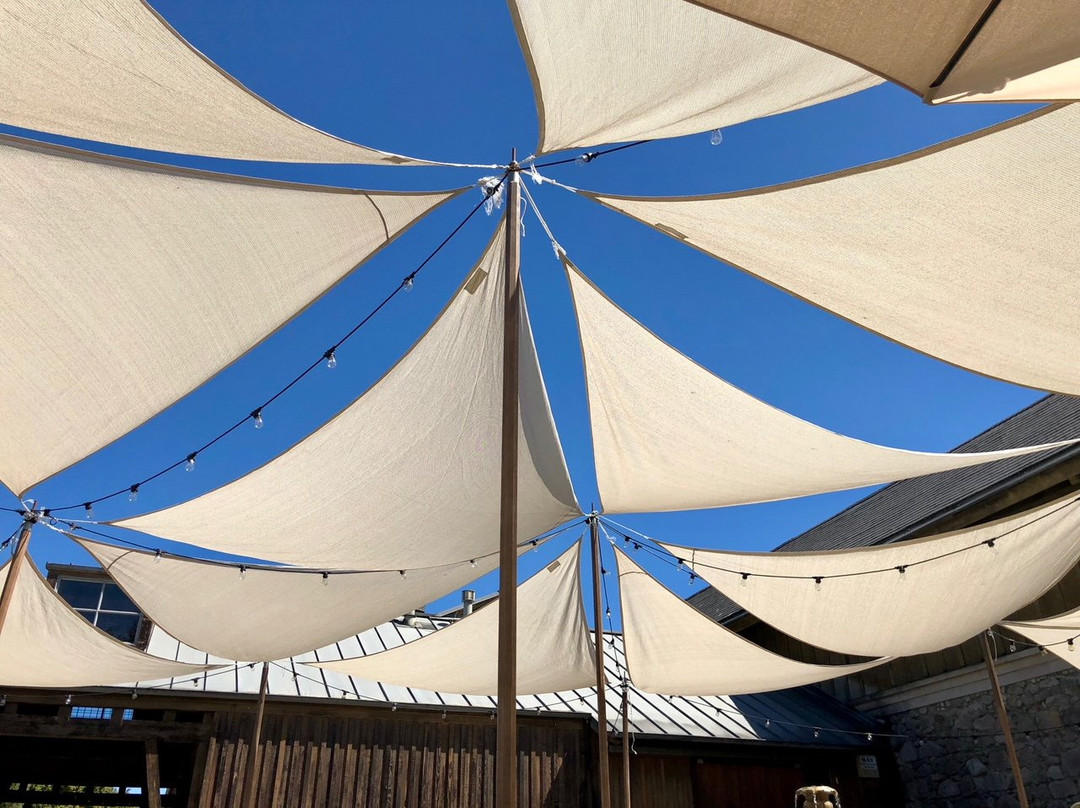 Valley of the Moon Winery-索诺玛必去景点