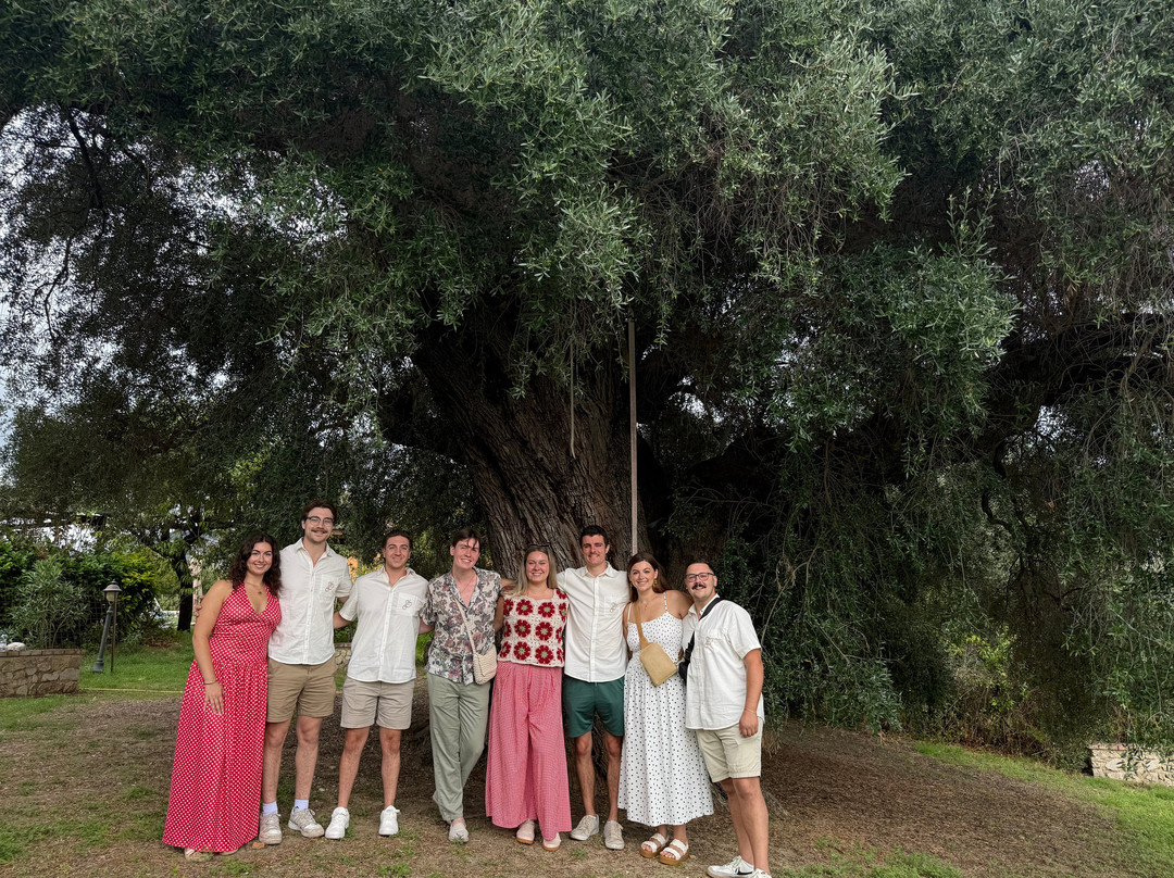 Italian Cooking Class and Olive Tour Experience-罗马必去景点