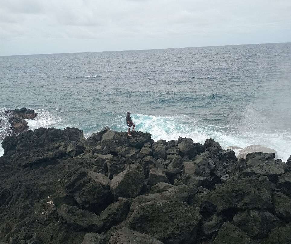 Lavena Coastal Walk-塔韦乌尼岛必去景点